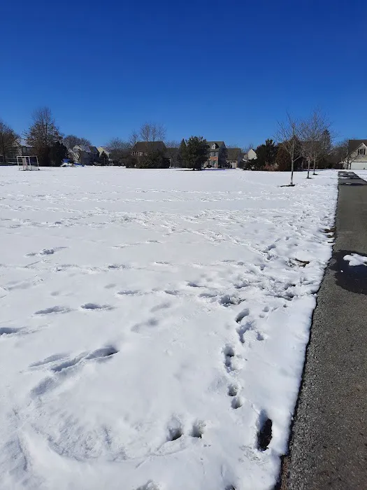 Lower Macungie Dog Park 1