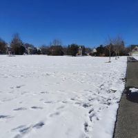 Lower Macungie Dog Park ico