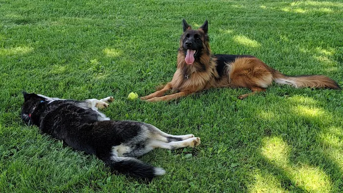 Lower Macungie Dog Park 8