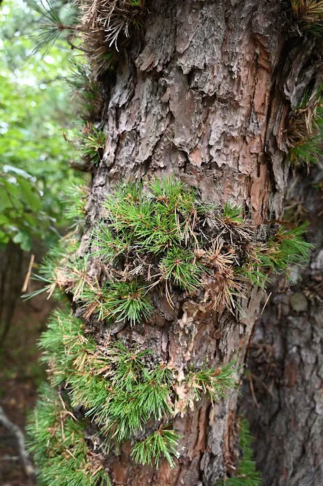 HJP Regional Park 4