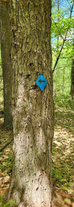 HJP Regional Park 1