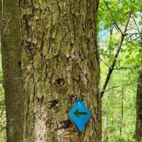 HJP Regional Park ico