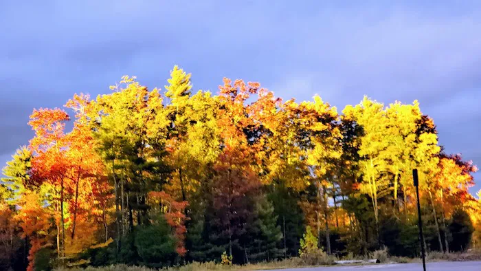 HJP Regional Park 2