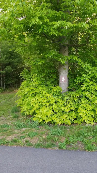 HJP Regional Park 7