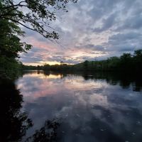 River Point Canine Park ico