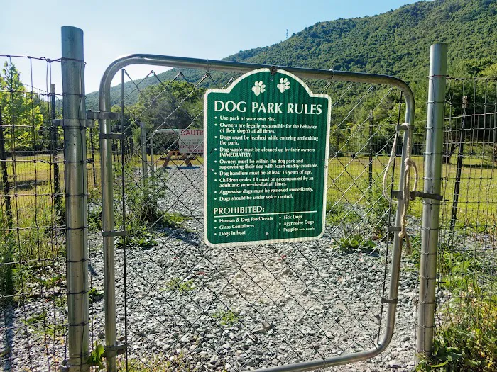River Point Canine Park 6