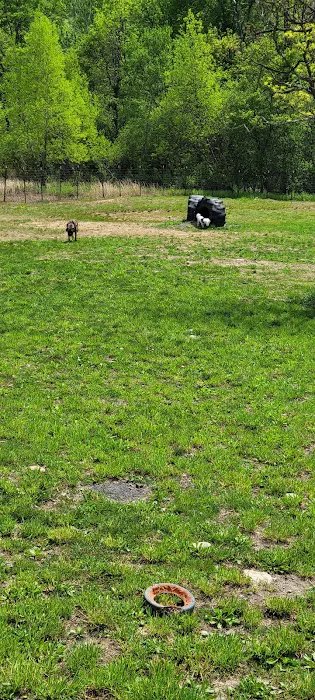 River Point Canine Park 7