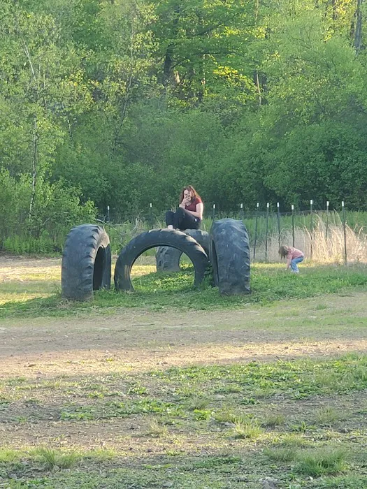 River Point Canine Park 3