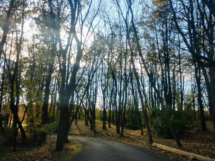 Route 100 Off-Leash Dog Park 4