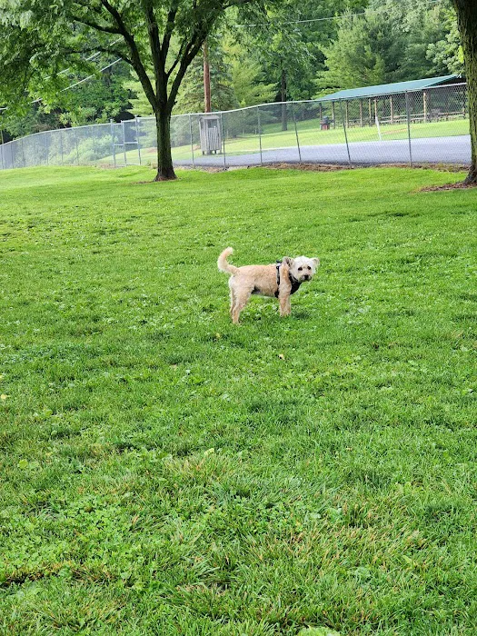 Route 100 Off-Leash Dog Park 7