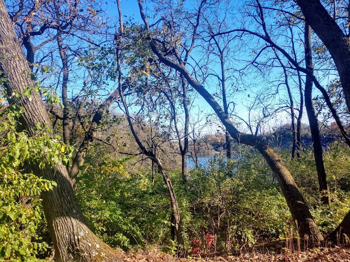 Route 100 Off-Leash Dog Park 5