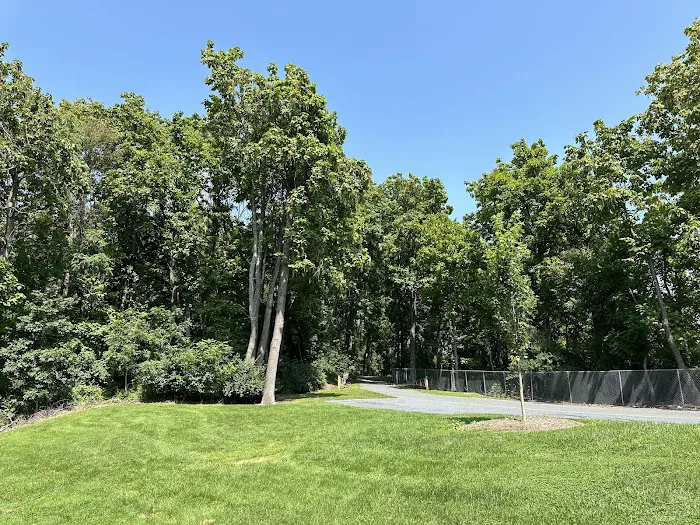 Route 100 Off-Leash Dog Park 2