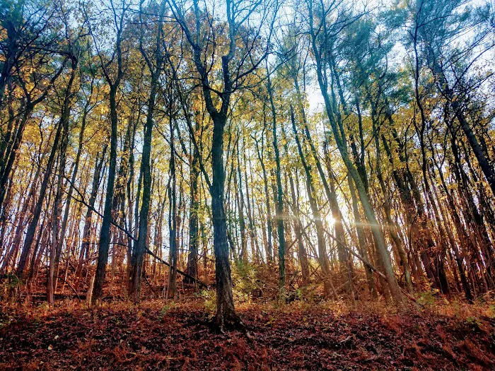 Route 100 Off-Leash Dog Park 10