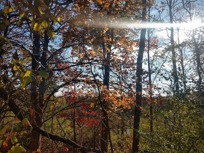 Route 100 Off-Leash Dog Park 8