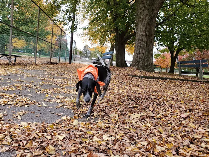 Kutztown Dog Park 2