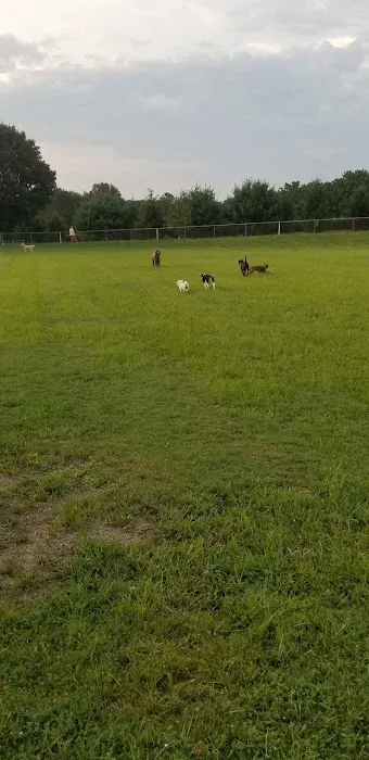 Kutztown Dog Park 1