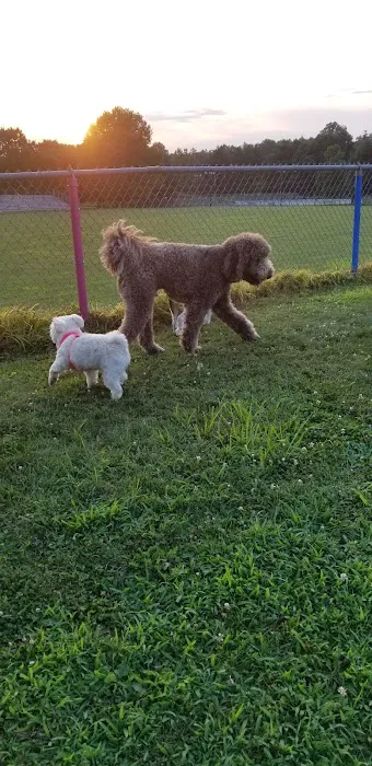 Kutztown Dog Park 4