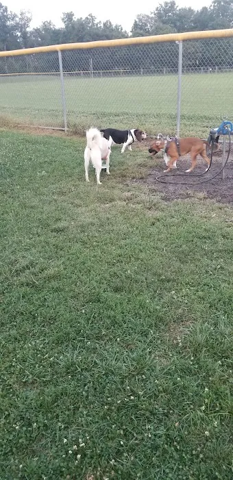 Kutztown Dog Park 6