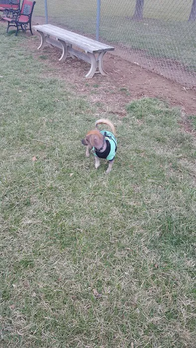 Kutztown Dog Park 10