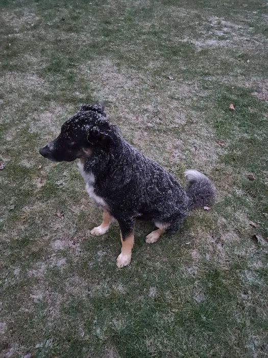 Maidencreek Township Dog Park 5