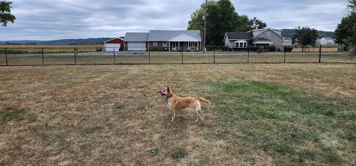 Maidencreek Township Dog Park 7