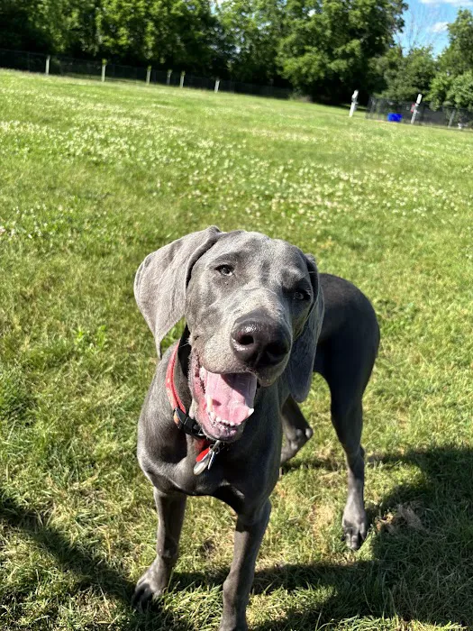 Maidencreek Township Dog Park 1