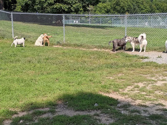 Central Bark, off leash Dog Park 6