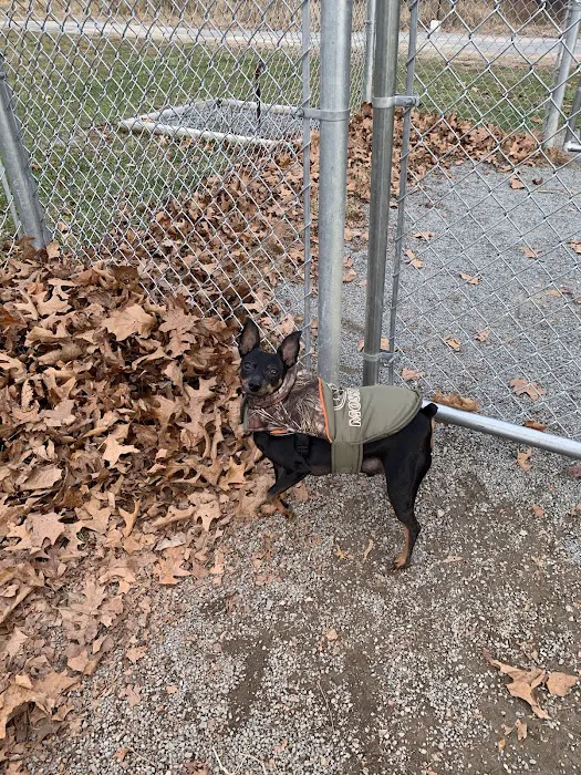 Central Bark, off leash Dog Park 10
