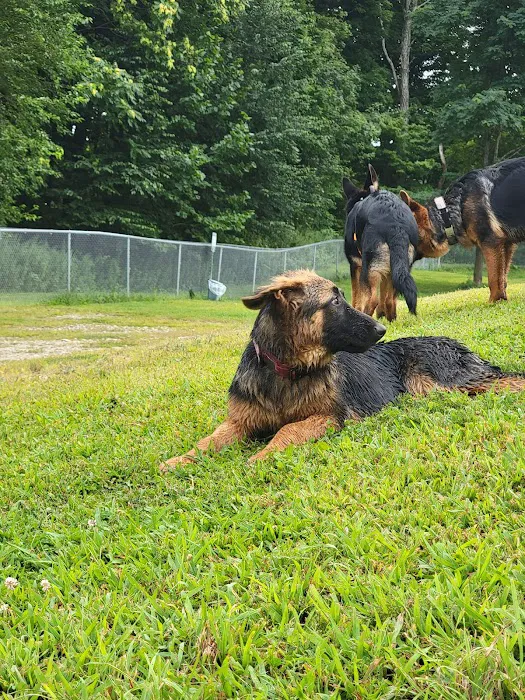 Central Bark, off leash Dog Park 7