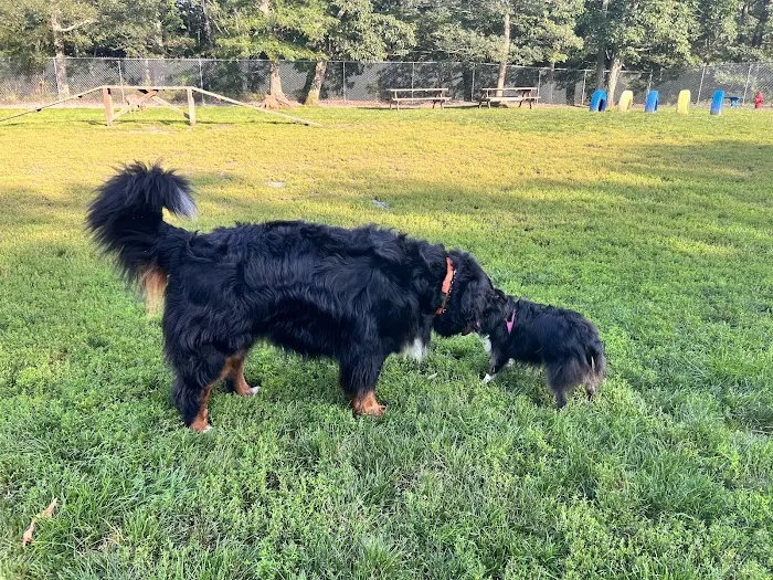 Hemlock Farms Dog Park 6