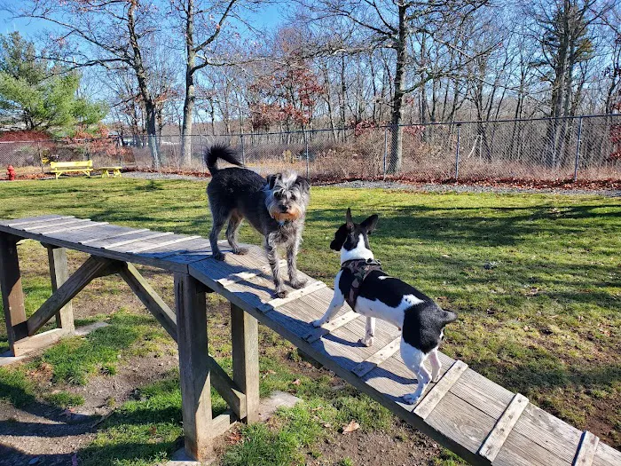 Hemlock Farms Dog Park 7