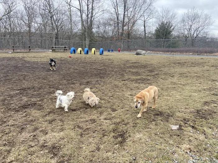 Hemlock Farms Dog Park 5