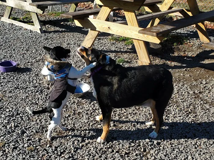 Hemlock Farms Dog Park 9