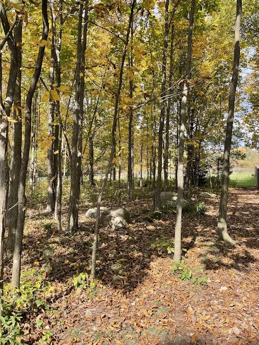 Barrett Township Dog Park 8