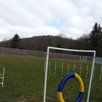 Barrett Township Dog Park ico