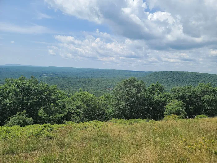 Barrett Township Dog Park 7
