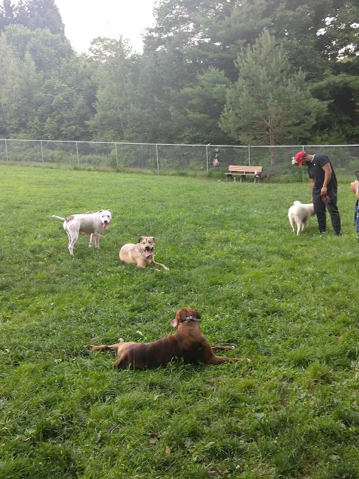 Barrett Township Dog Park 5
