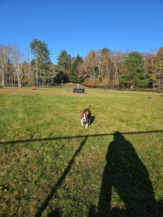 Town of Bethel Dog Park 8