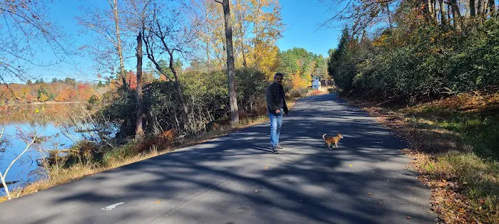 Town of Bethel Dog Park 3
