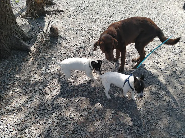 Town of Bethel Dog Park 6