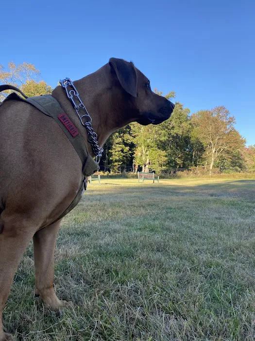 Town of Bethel Dog Park 7