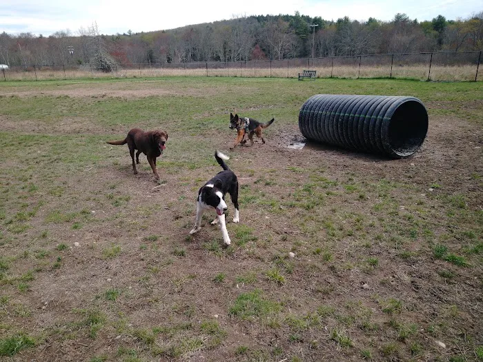 Town of Bethel Dog Park 4