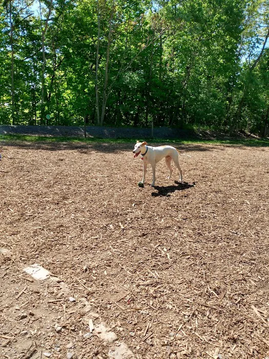 Milton Landing Dog Park 10