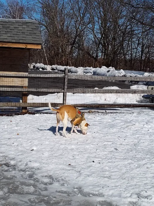 Milton Landing Dog Park 3