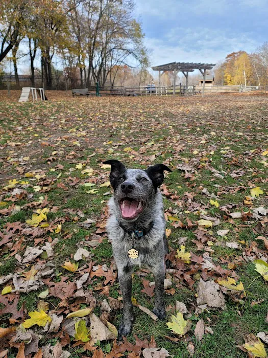Milton Landing Dog Park 6