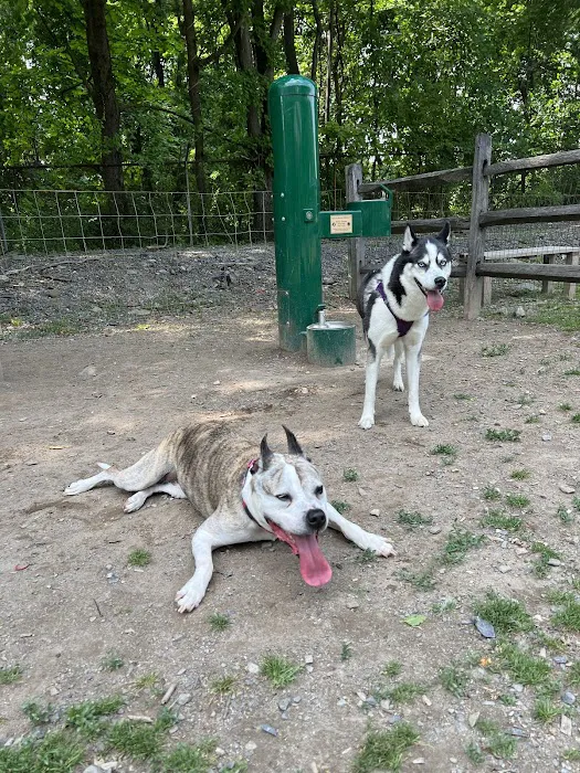 Milton Landing Dog Park 8