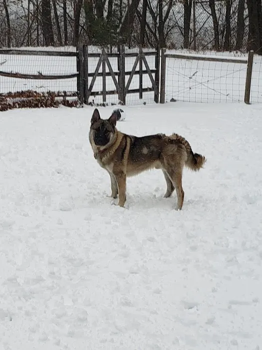 Milton Landing Dog Park 5