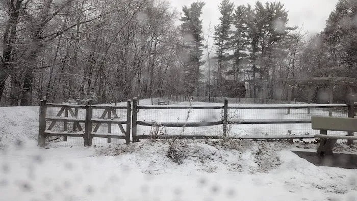 Milton Landing Dog Park 1