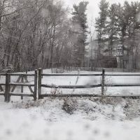 Milton Landing Dog Park ico