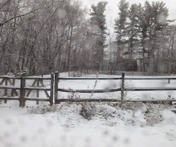 Milton Landing Dog Park
